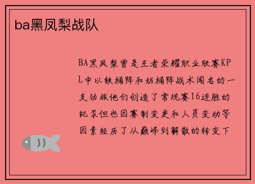ba黑凤梨战队