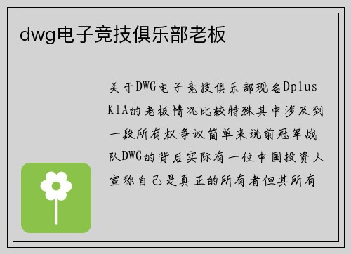 dwg电子竞技俱乐部老板